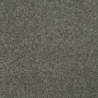 Shaw Floors Enduring Comfort I Grey Flannel 00501_E0341