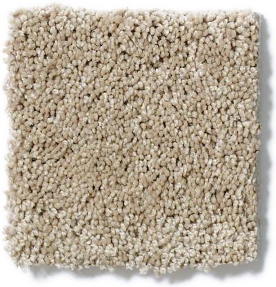 Shaw Floors Entourage Texture Claystone GF00108_E0342