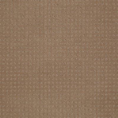 Shaw Floors Enduring Comfort Pattern Clay Stone 00108_E0404