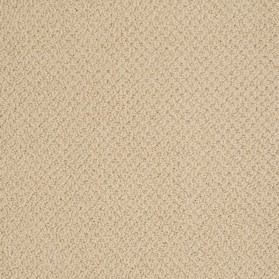 Shaw Floors Timeless Charm Loop Blonde Cashmere 00106_E0405