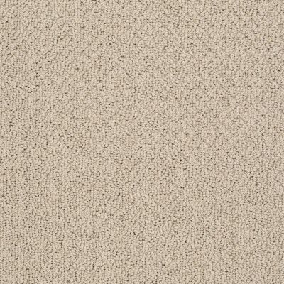 Shaw Floors Timeless Charm Loop Clay Stone 00108_E0405