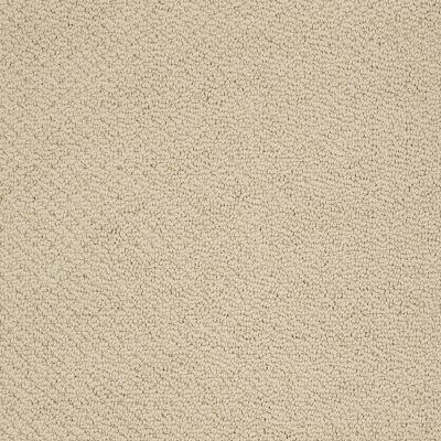 Shaw Floors Timeless Charm Loop Parchment 00125_E0405