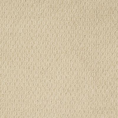 Shaw Floors Ready To Go Linen 00101_E0487