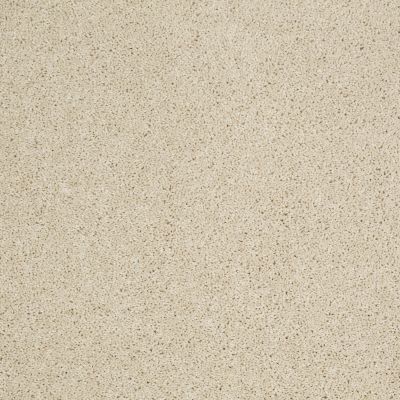 Shaw Floors Origins Linen 00101_E0523