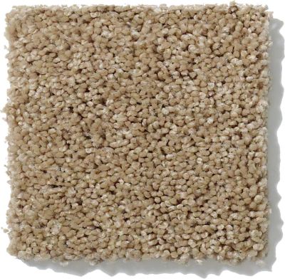 Shaw Floors Optimum Texture Mushroom GF00703_E0523