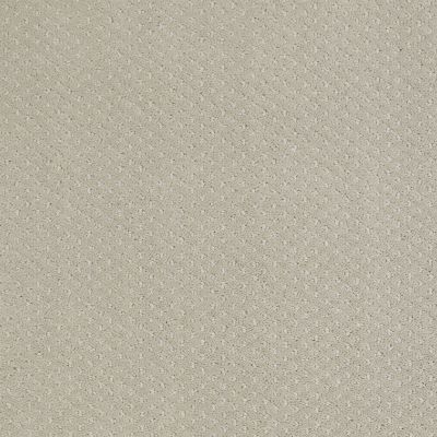 Shaw Floors Genesis Cold Water 00510_E0525