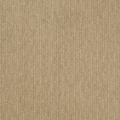 Shaw Floors Speed Of Light Field Stone 00105_E0528
