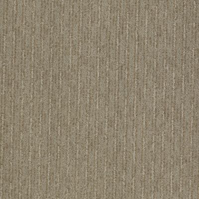 Shaw Floors Speed Of Light Gray Flannel 00511_E0528