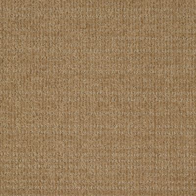 Shaw Floors Breakthrough Natural Wood 00701_E0529