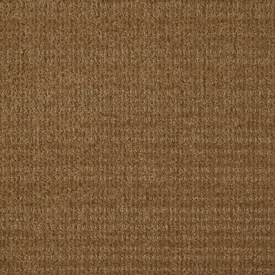 Shaw Floors Breakthrough Leather Bound 00702_E0529