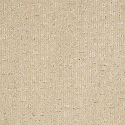 Shaw Floors Instant Impact Winter White 00100_E0530
