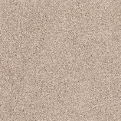 Shaw Floors Sandy Hollow Classic I 12′ Pudding 00102_E0548