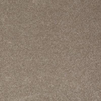 Shaw Floors Sandy Hollow Classic I 12′ Wood Smoke 00520_E0548