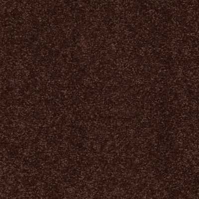 Shaw Floors Sandy Hollow Classic I 12′ Coffee Bean 00711_E0548
