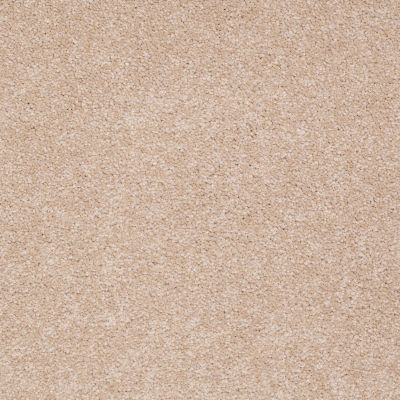 Shaw Floors Sandy Hollow Classic I 15 Stucco 00110_E0549