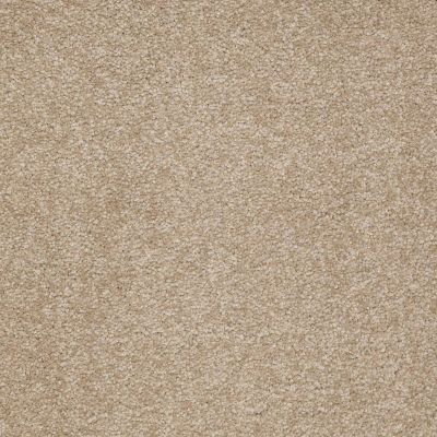 Shaw Floors Foundations Sandy Hollow Classic II 15′ Sahara 00205_E0551