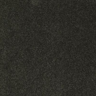 Shaw Floors Foundations Sandy Hollow Classic III 15′ Lilly Pad 00320_E0553