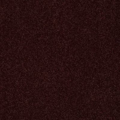Shaw Floors Foundations Sandy Hollow Classic III 15′ Rouge Red 00820_E0553