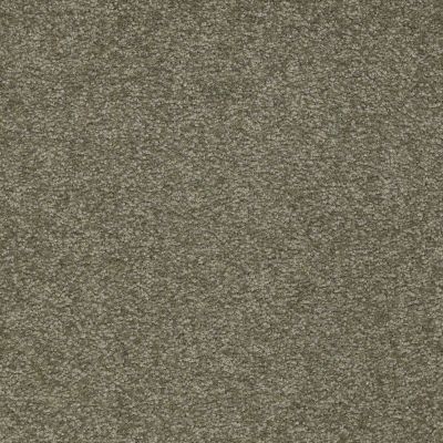 Shaw Floors Sandy Hollow Classic Iv 12′ Alpine Fern 00305_E0554