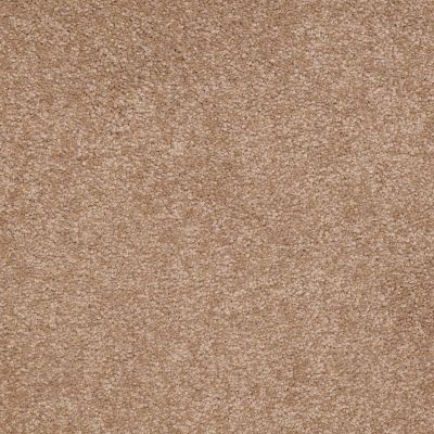 Shaw Floors Sandy Hollow Classic Iv 12′ Muffin 00700_E0554