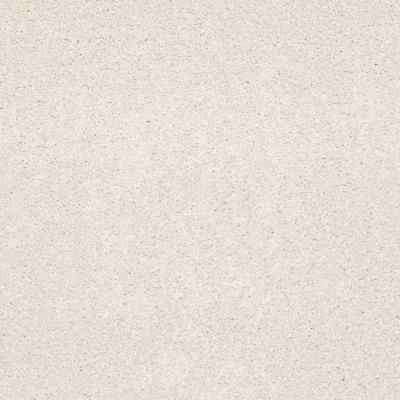 Shaw Floors Sandy Hollow Classic Iv 15′ Mushroom 00101_E0555