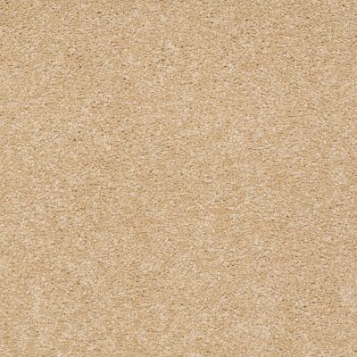 Shaw Floors Sandy Hollow Classic Iv 15′ Cornfield 00202_E0555