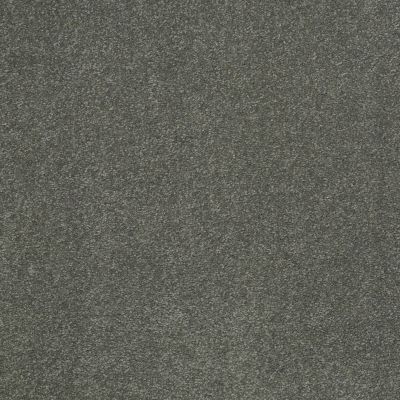 Shaw Floors Sandy Hollow Classic Iv 15′ Bahama Bay 00424_E0555
