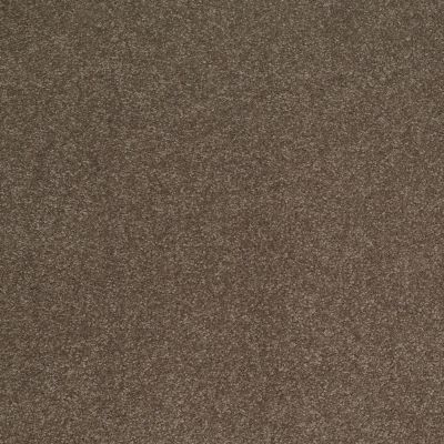 Shaw Floors Sandy Hollow Classic Iv 15′ Castle Rock 00521_E0555