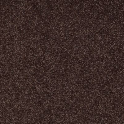Shaw Floors Sandy Hollow Classic Iv 15′ Tundra 00708_E0555
