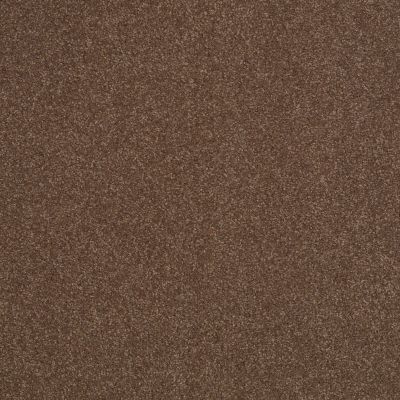 Shaw Floors Sandy Hollow Classic Iv 15′ Wooden Box 00721_E0555