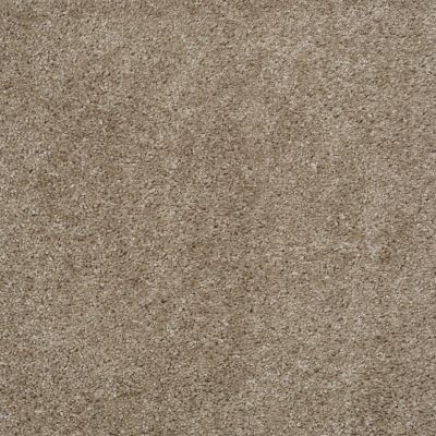 Shaw Floors Max Appeal Gray Flannel 00511_E0568