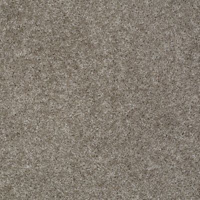 Shaw Floors Max Appeal Pewter 00513_E0568