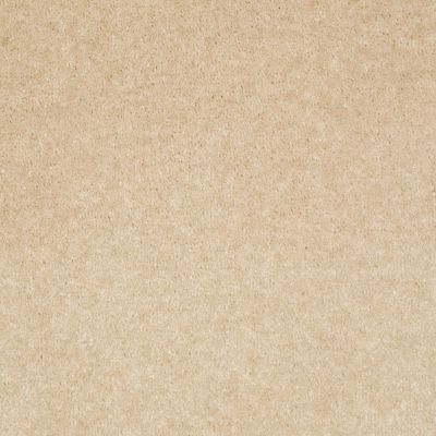 Shaw Floors Footwork Tea Stain 00109_E0576