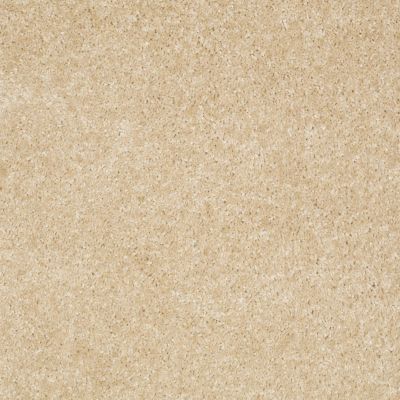 Shaw Floors Victory Toasted Coconut 00108_E0590