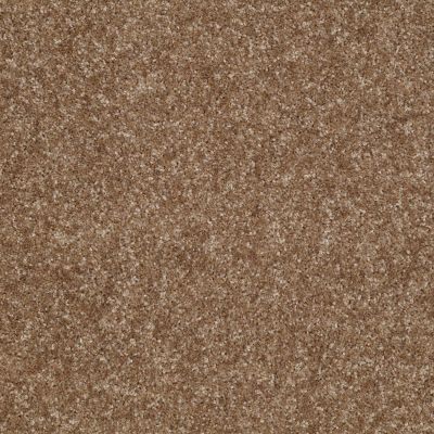 Shaw Floors Victory Bannister 00732_E0590
