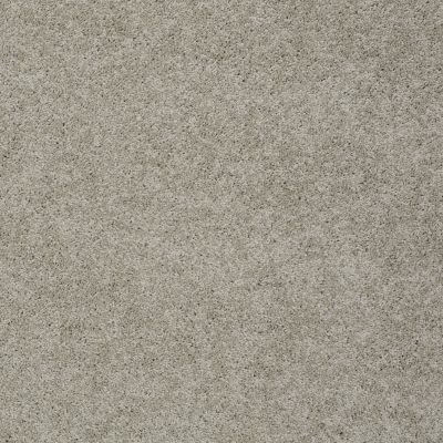 Shaw Floors My Choice I Natural 00153_E0650