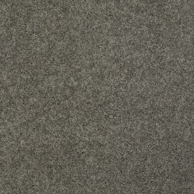 Shaw Floors My Choice I Grey Flannel 00501_E0650