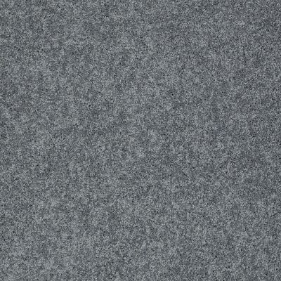 Shaw Floors My Choice I Atmosphere 00552_E0650