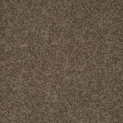 Shaw Floors My Choice I Weathered Wood 00759_E0650
