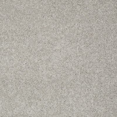Shaw Floors My Choice III Ash 00550_E0652