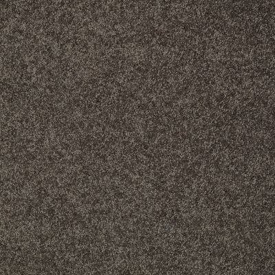 Shaw Floors My Choice III Chocolate 00758_E0652