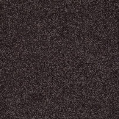 Shaw Floors My Choice III Urban Loft 00951_E0652
