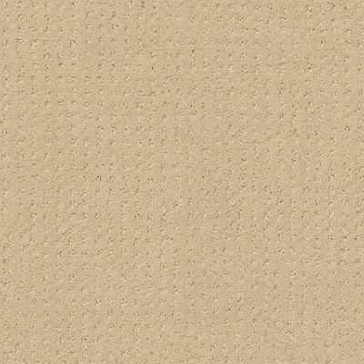 Shaw Floors My Choice Pattern French Linen 00103_E0653
