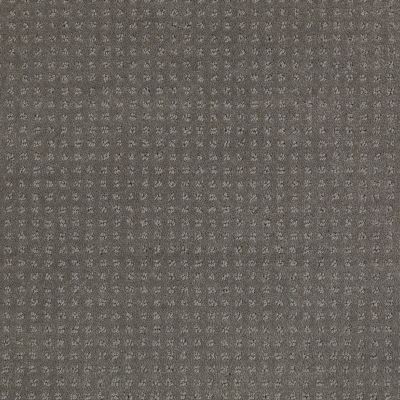 Shaw Floors My Choice Pattern Grey Flannel 00501_E0653