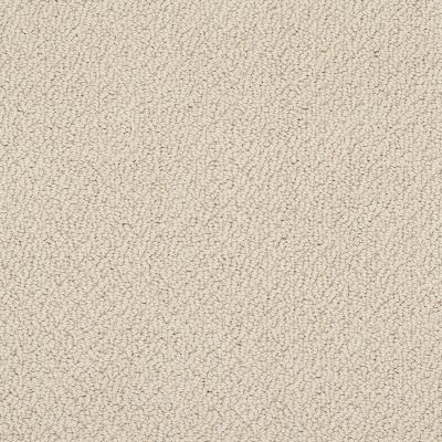 Shaw Floors Truly Relaxed Loop French Linen 00103_E0657
