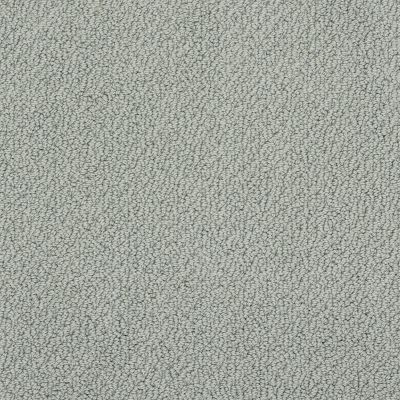 Shaw Floors Truly Relaxed Loop Silver Sage 00350_E0657