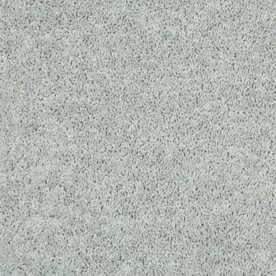 Shaw Floors Value Collections Tactical Net Stone 00500_E0679