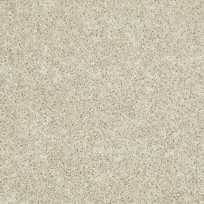 Shaw Floors Value Collections Tactical Net Pebble 00704_E0679