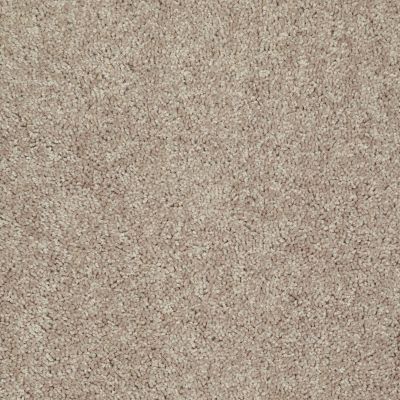 Shaw Floors Value Collections Tactical Net Honey 00715_E0679