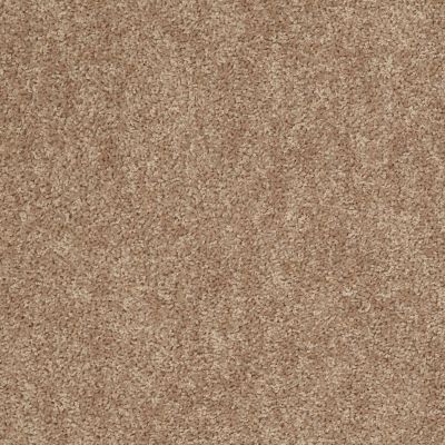Shaw Floors Value Collections Expect More (s) Net Saddle Tan 00700_E0710